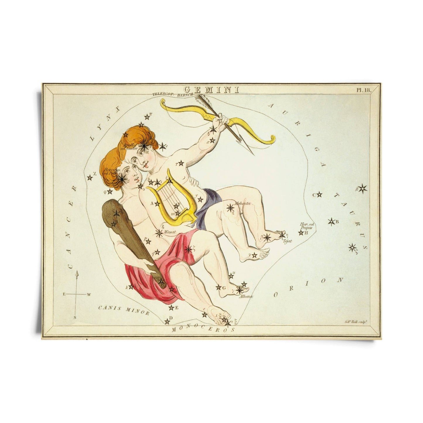 Vtg Zodiac Sign Astrology Print