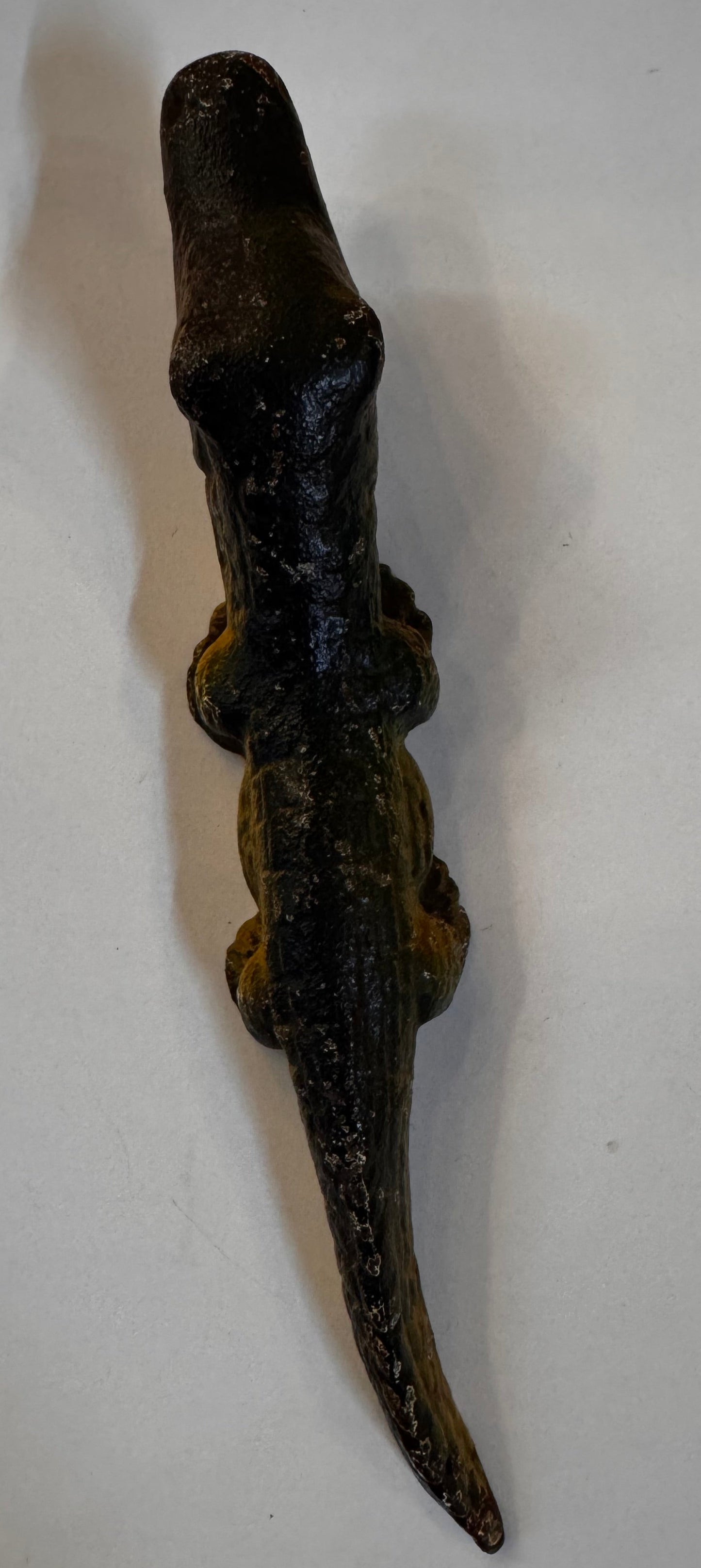 J. Wright Alligator CSBH