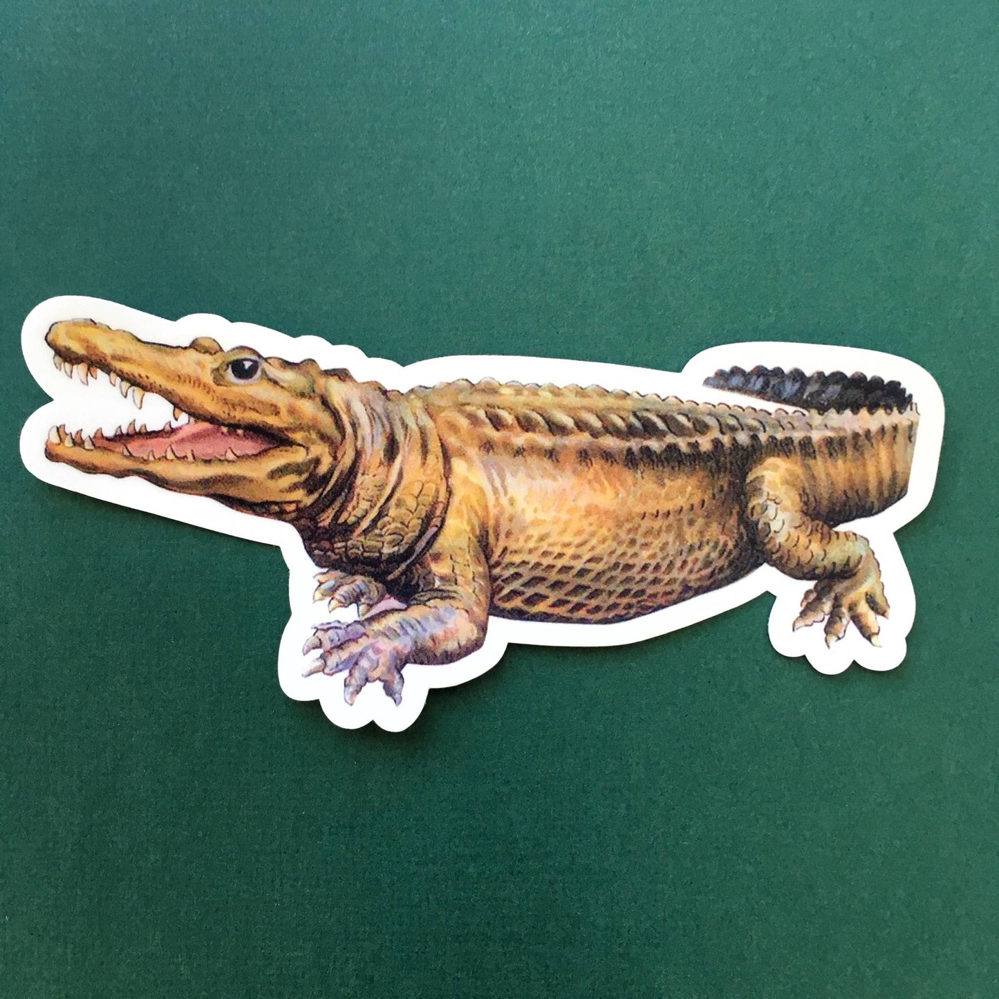 Vintage Alligator Vinyl Sticker