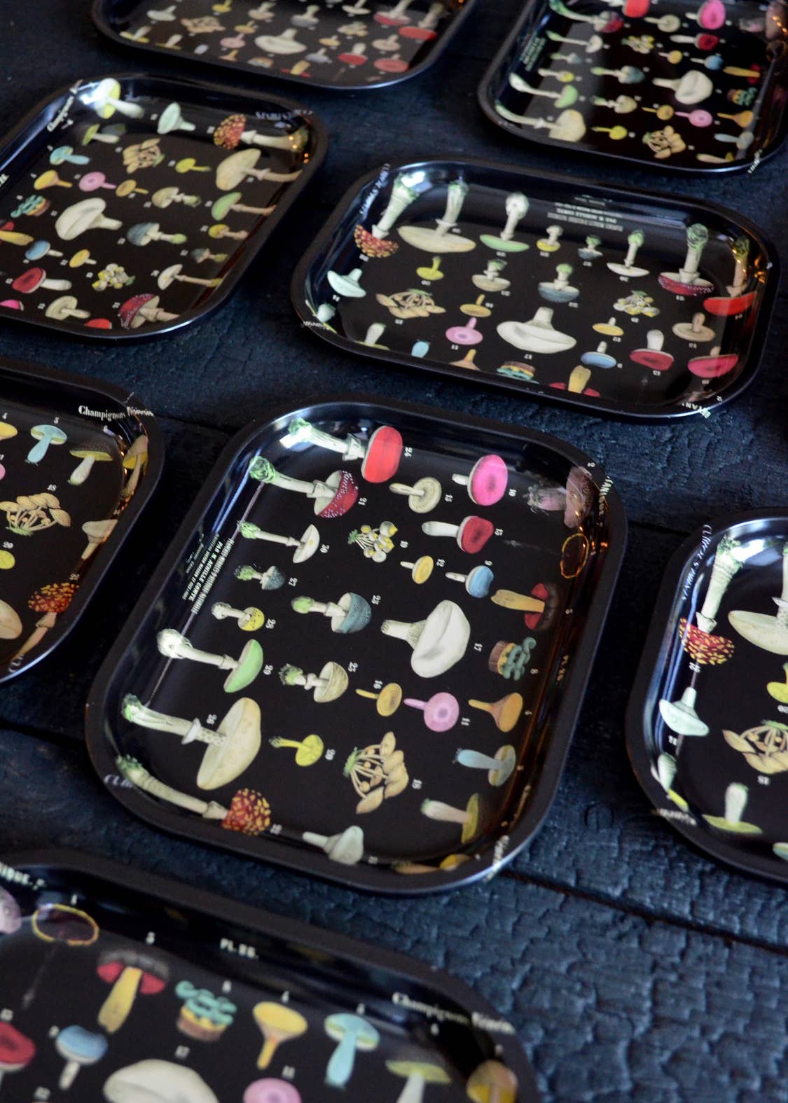 Black Mushroom Tray