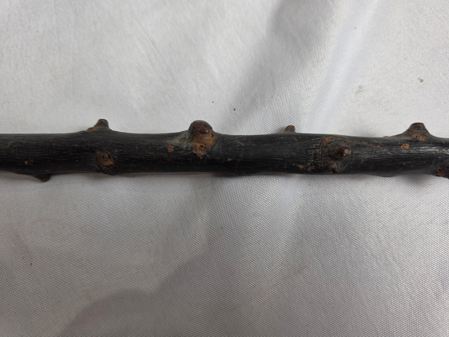 vintage wooden cane CSHW