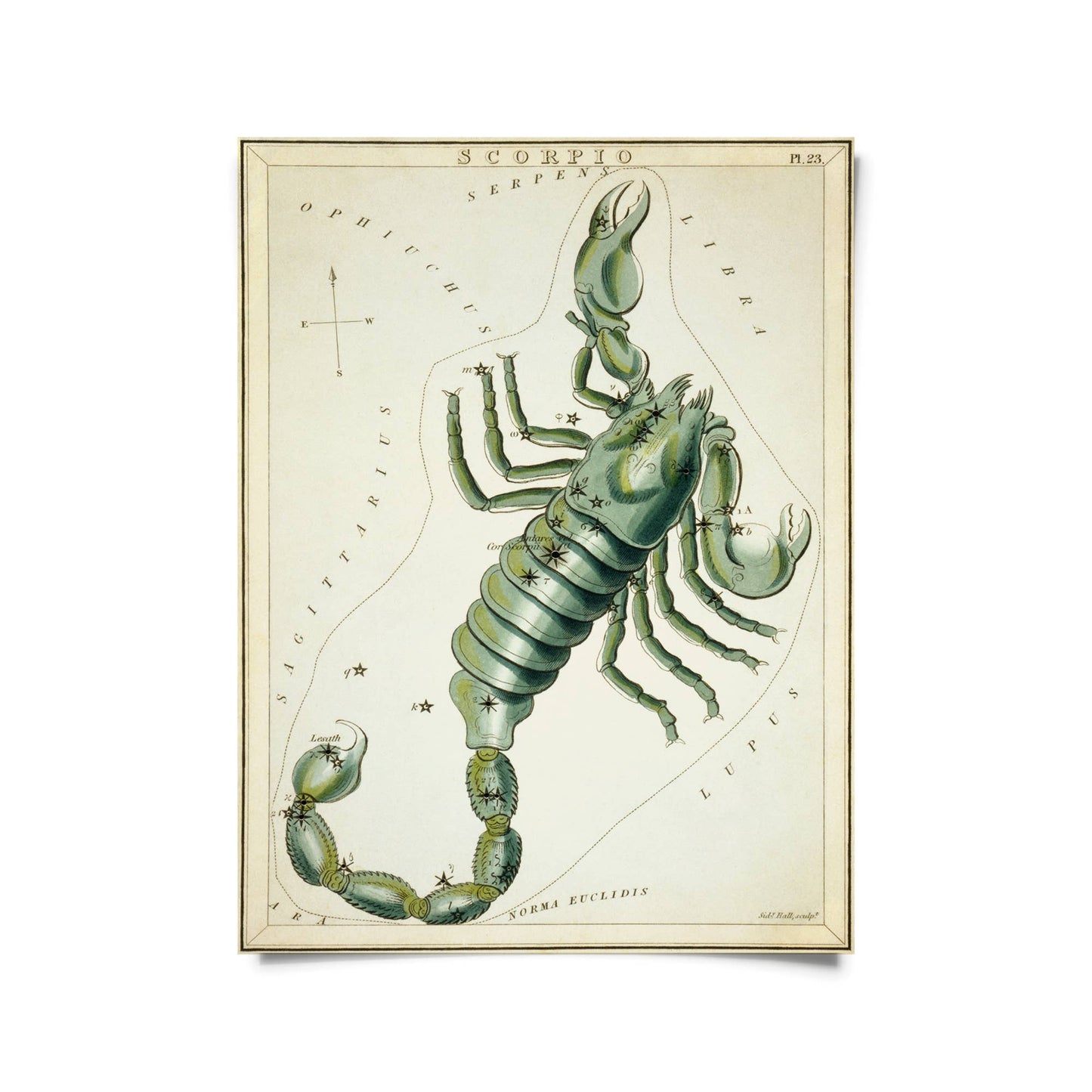 Vtg Zodiac Sign Astrology Print