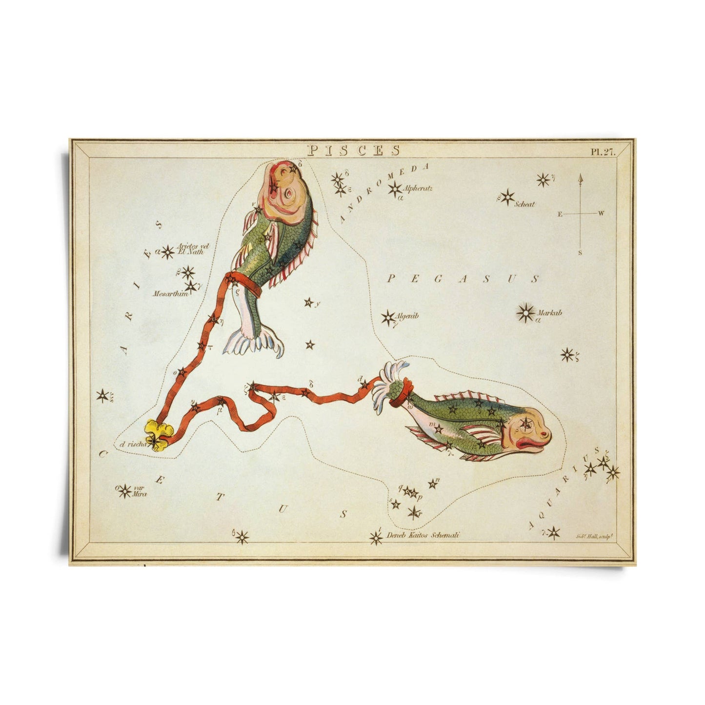 Vtg Zodiac Sign Astrology Print