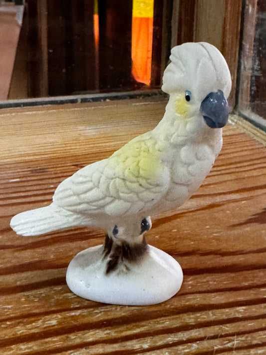 Arnart Cockatoo CSBH