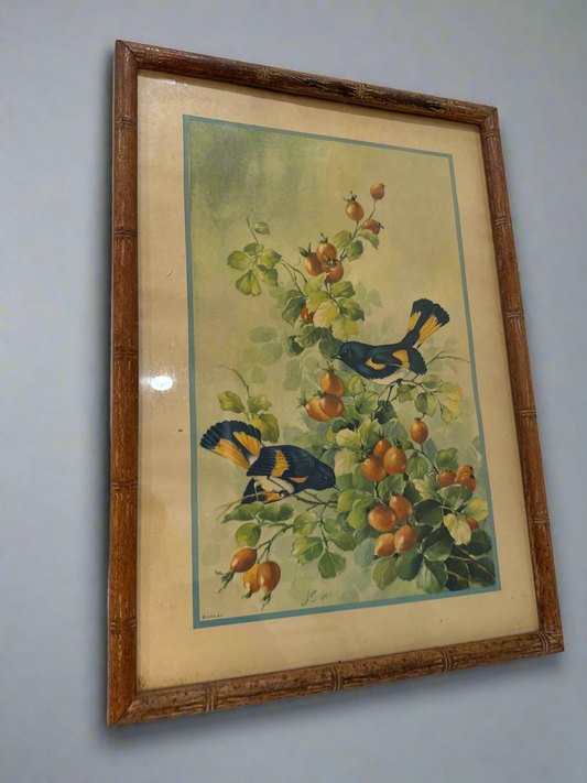 Vtg Print Bird and Blossom J. Sibal, 1940s – Donald Art Co.