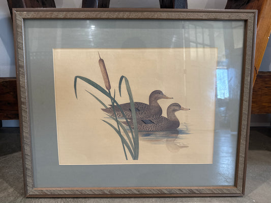 Vintage Jim Bonner Duck Print