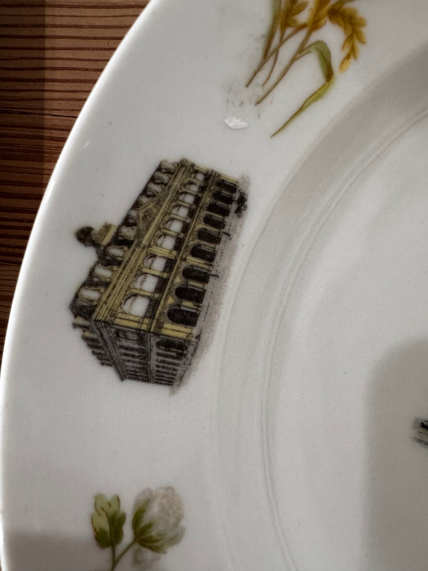 Vtg St. Charles Hotel Plate