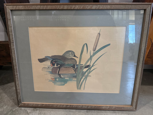 Vintage Jim Bonner Duck Print