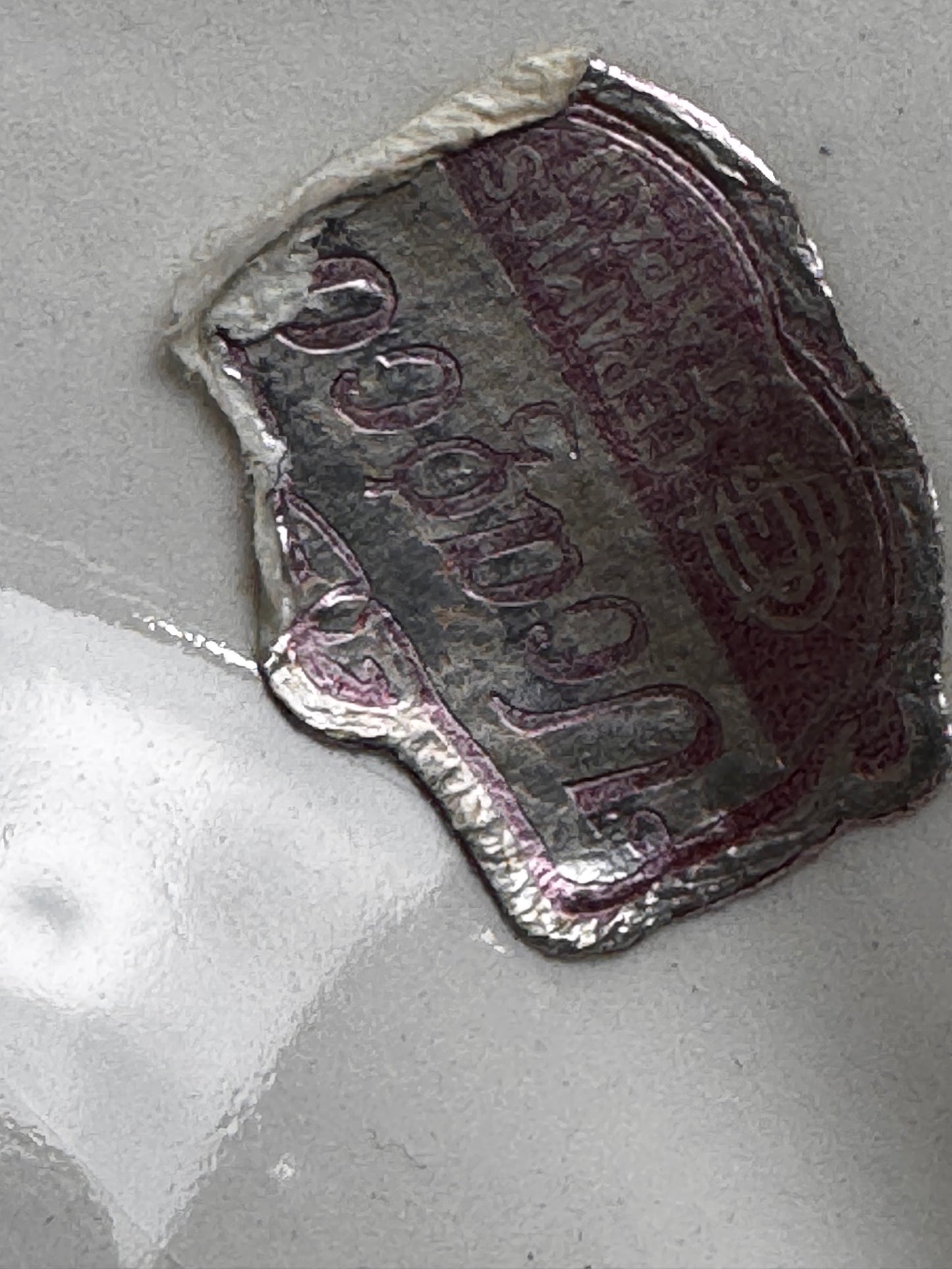 MCM Seafood App Tray CSBH