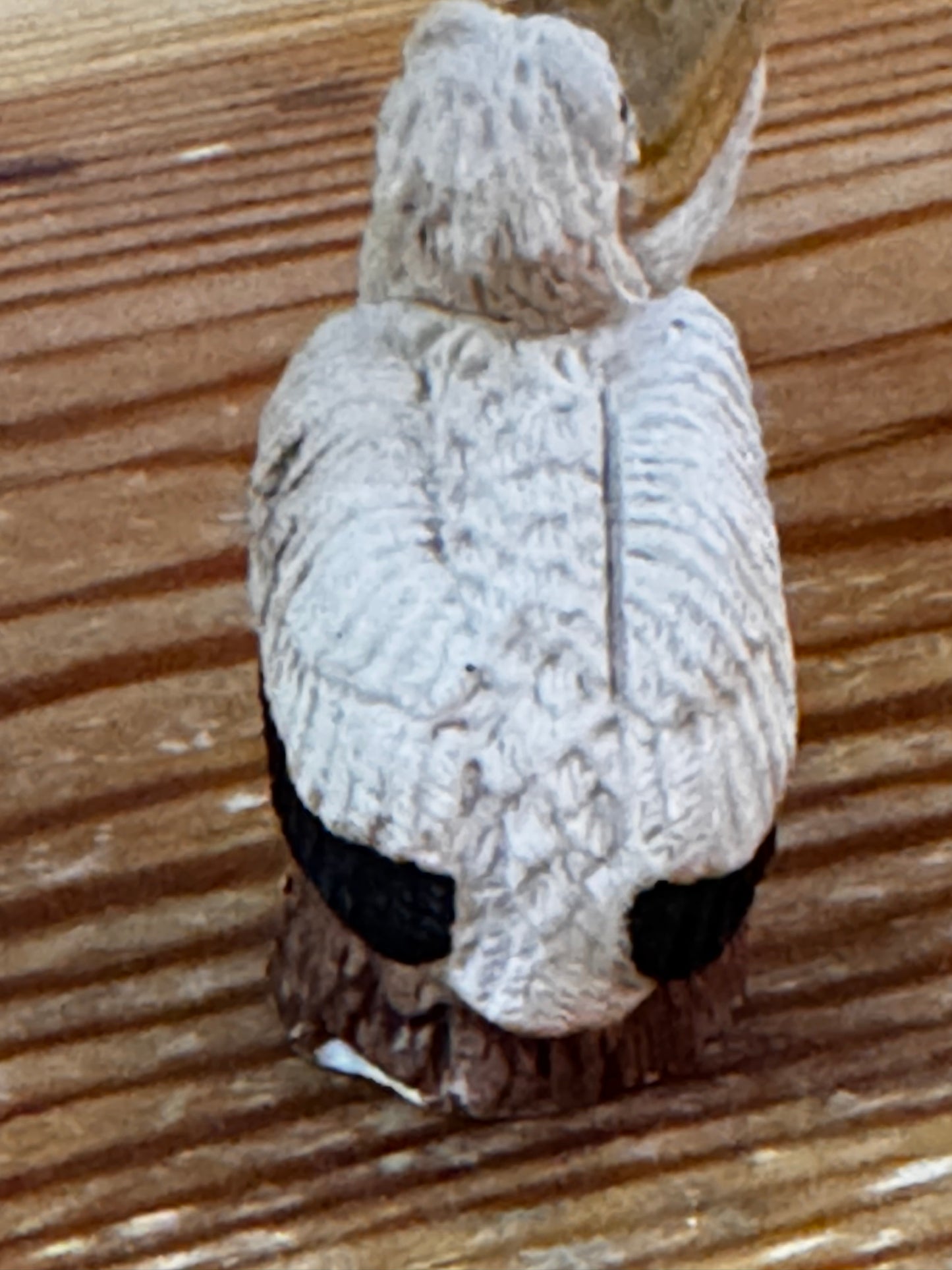 Tiny Pelican Souvenir CSBh