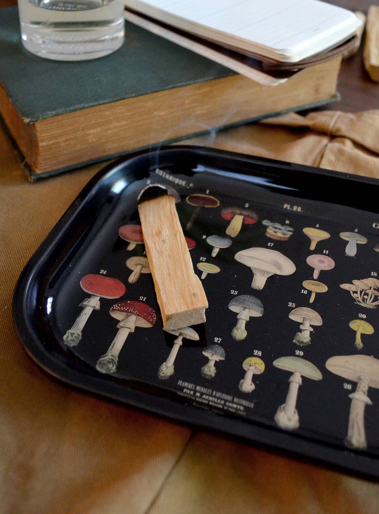 Black Mushroom Tray