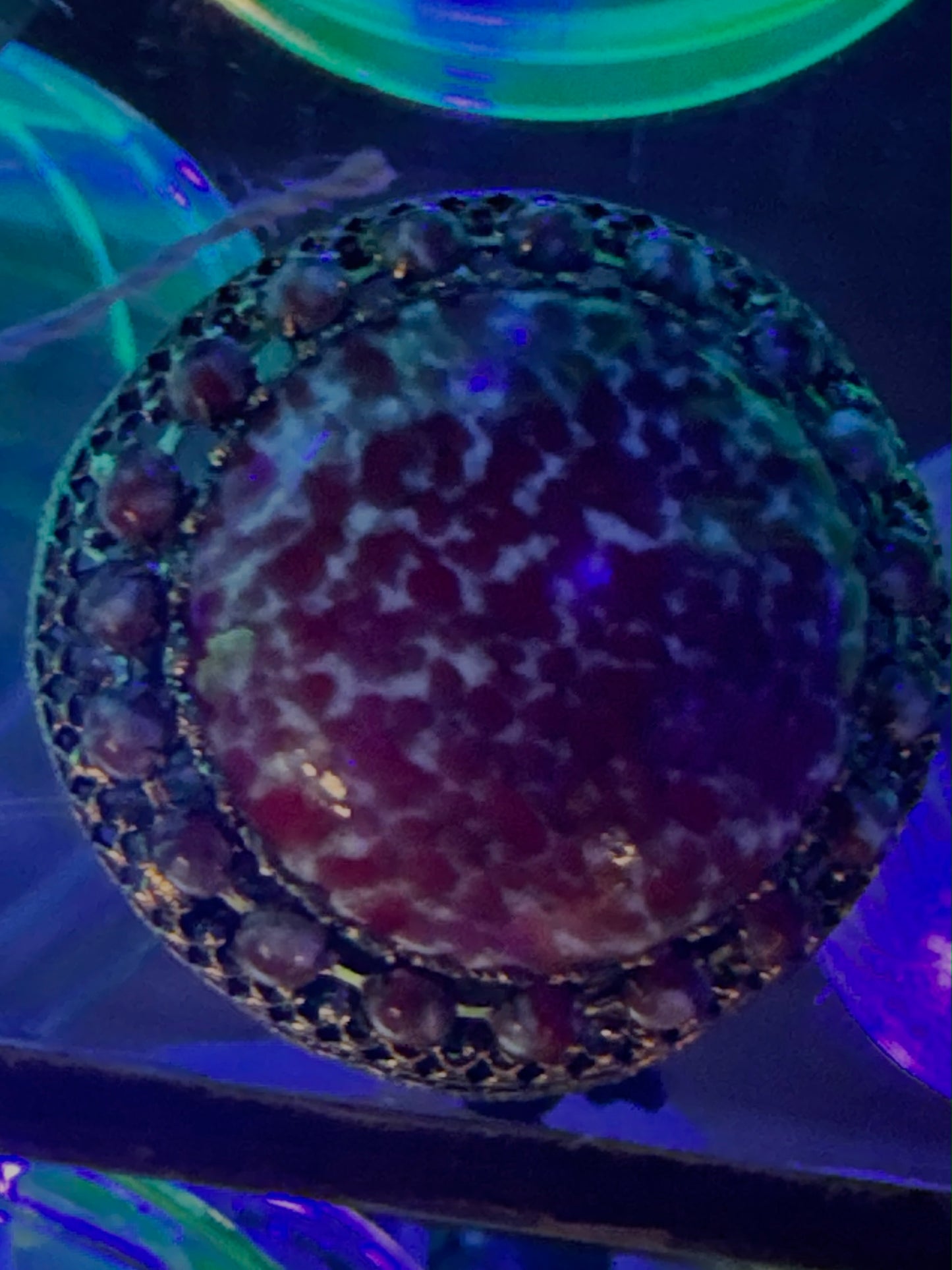 Uranium Brooch CSBH