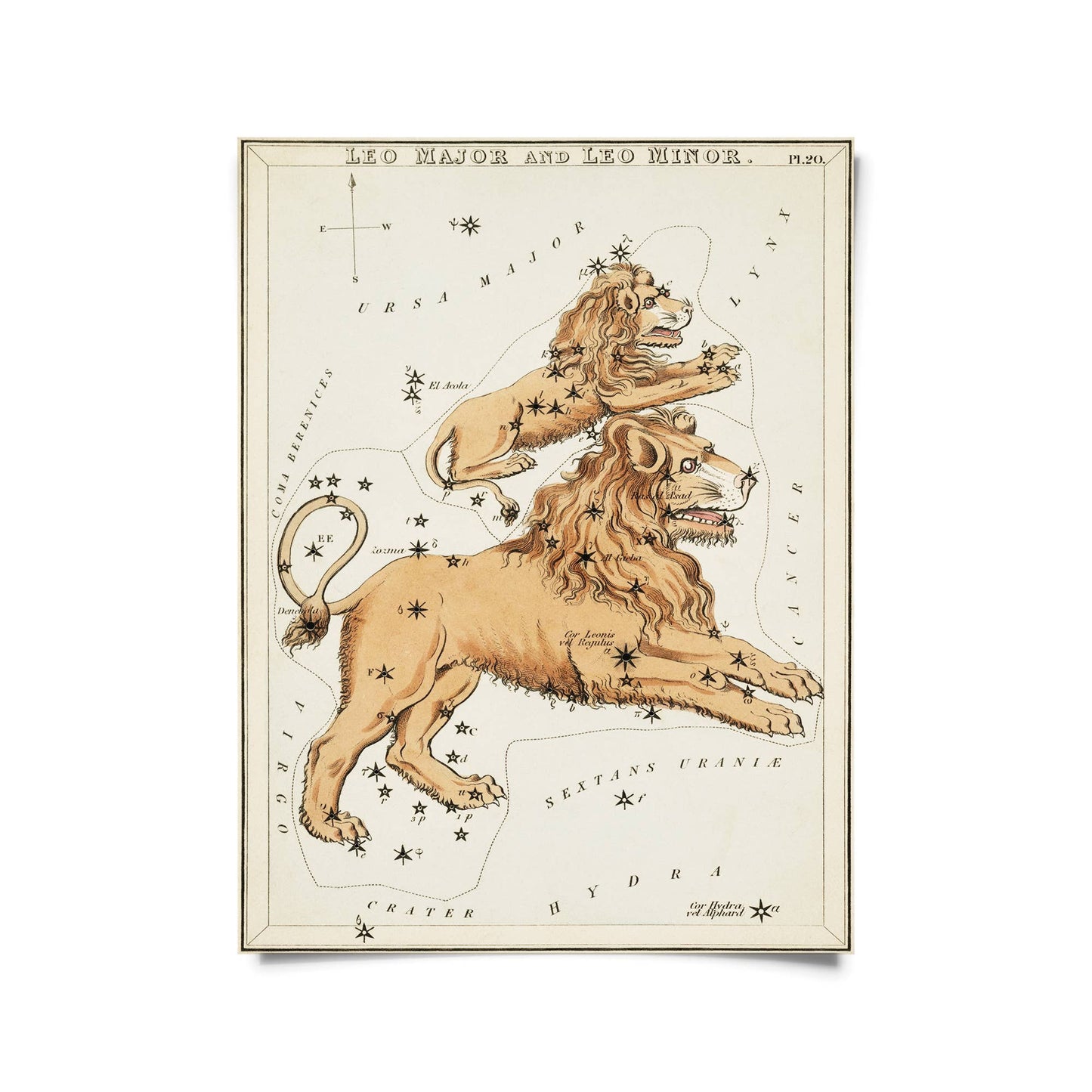 Vtg Zodiac Sign Astrology Print