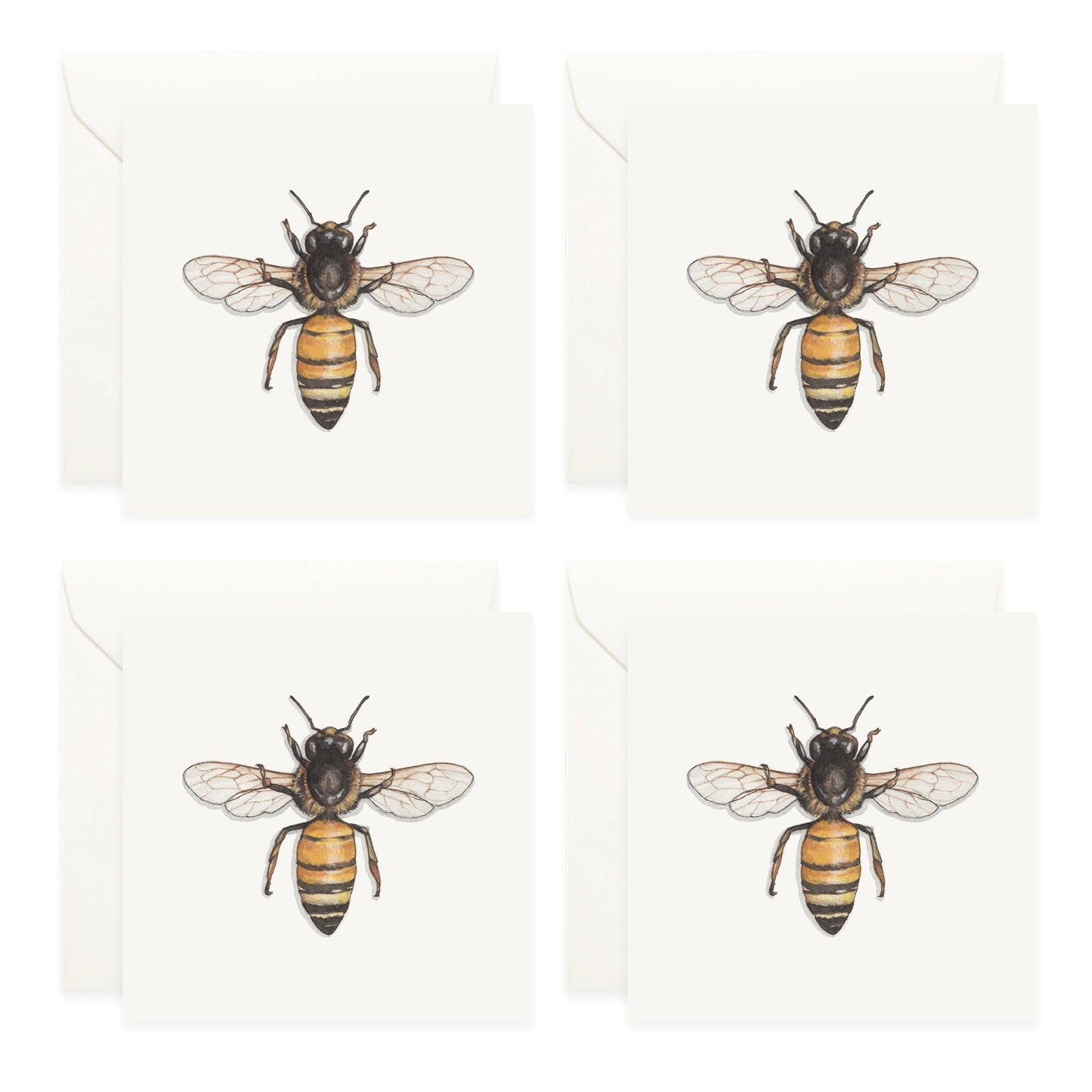 Mini Cards Set / Honey Bee