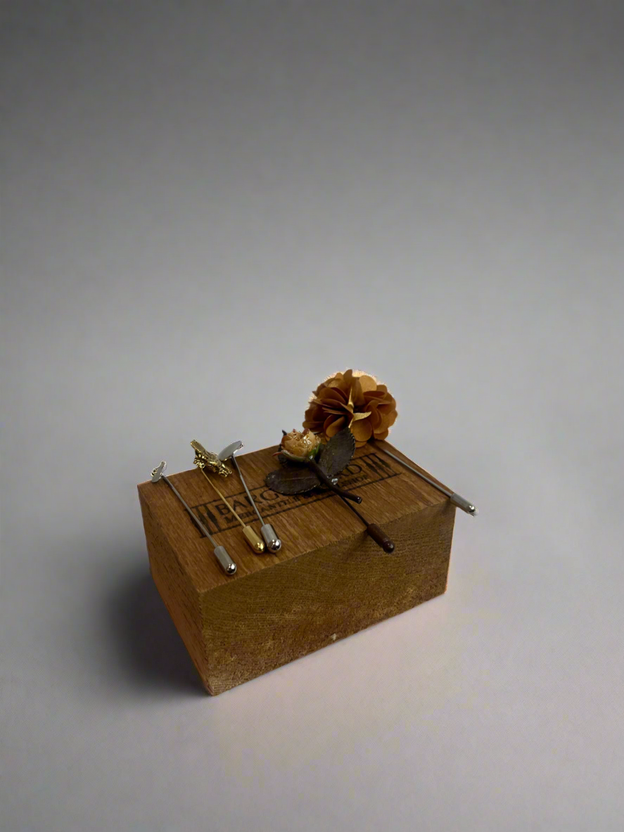 Hat Pins cs bh