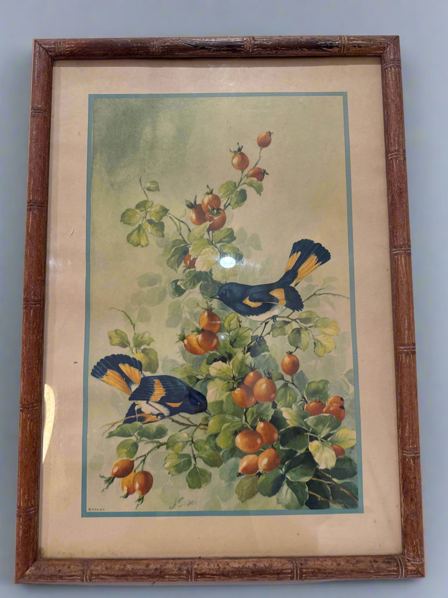 Vtg Print Bird and Blossom J. Sibal, 1940s – Donald Art Co.