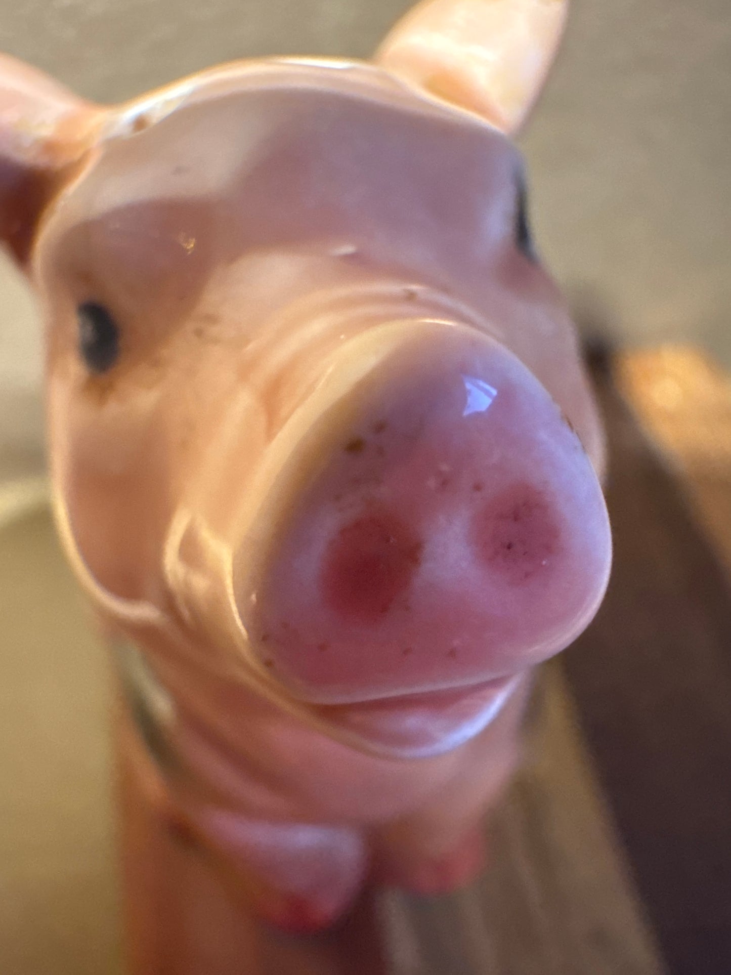 Vtg Pig Salt & Pepper csbh