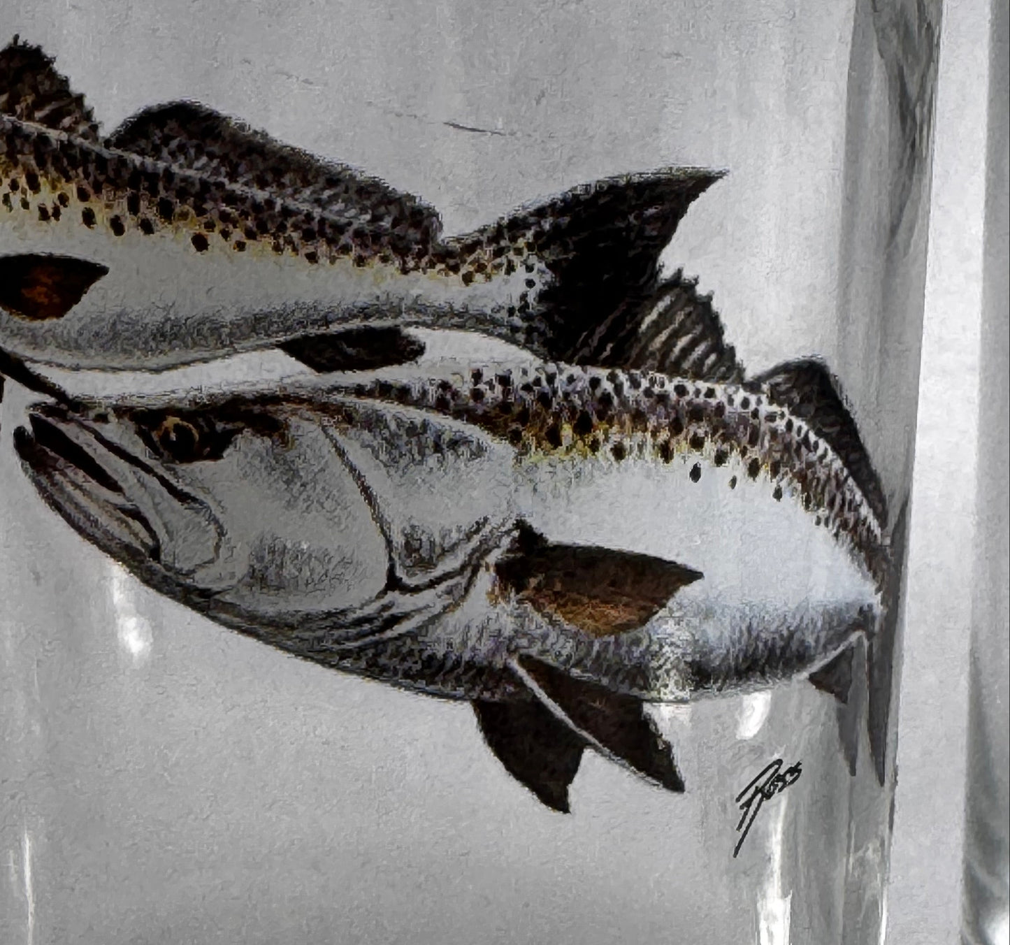 Vtg Trout HiBalls (4) CSBH