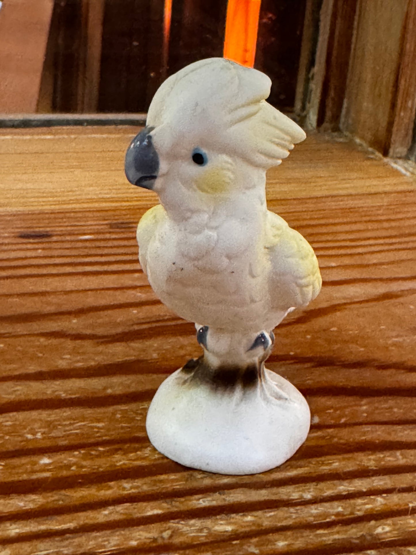 Arnart Cockatoo CSBH