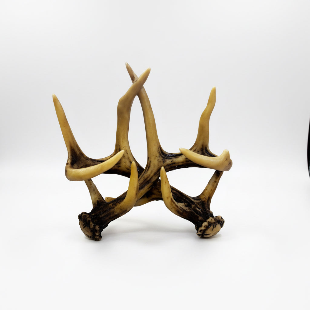 Antler Salt and Pepper Shaker Set CSBH
