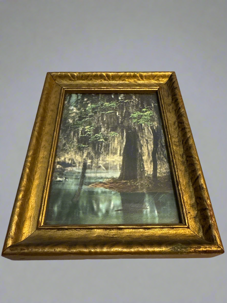 CSRR “Spring in the Swamp”