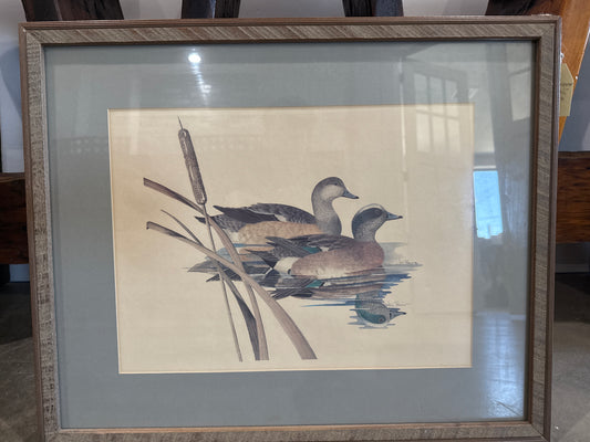Vintage Jim Bonner Duck Print