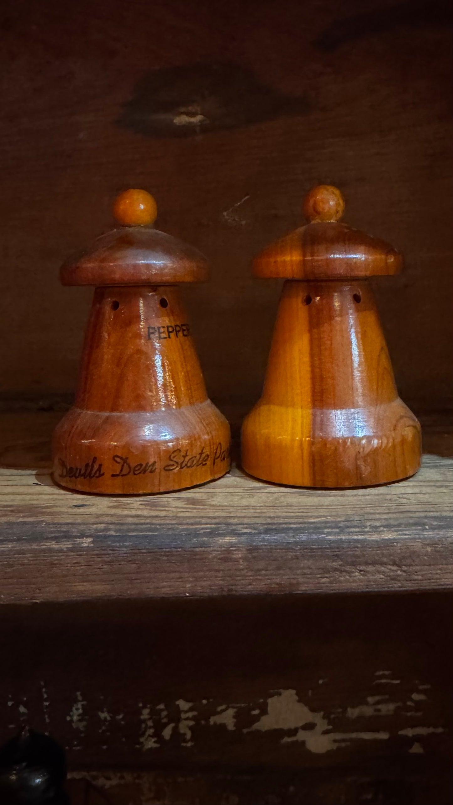 Vtg salt and pepper Devil's Den State Park.