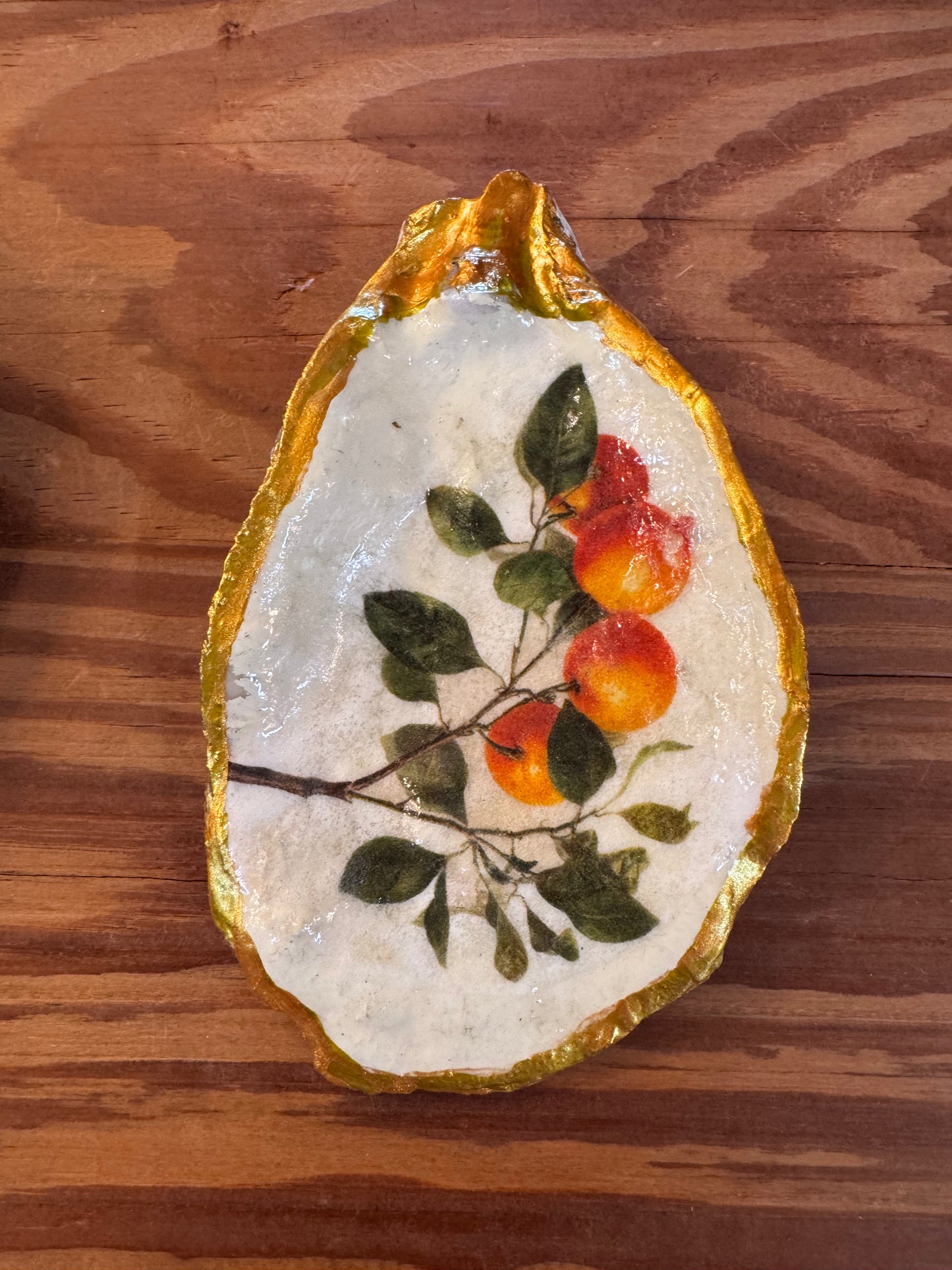 Satsuma Oyster Shell CSBH