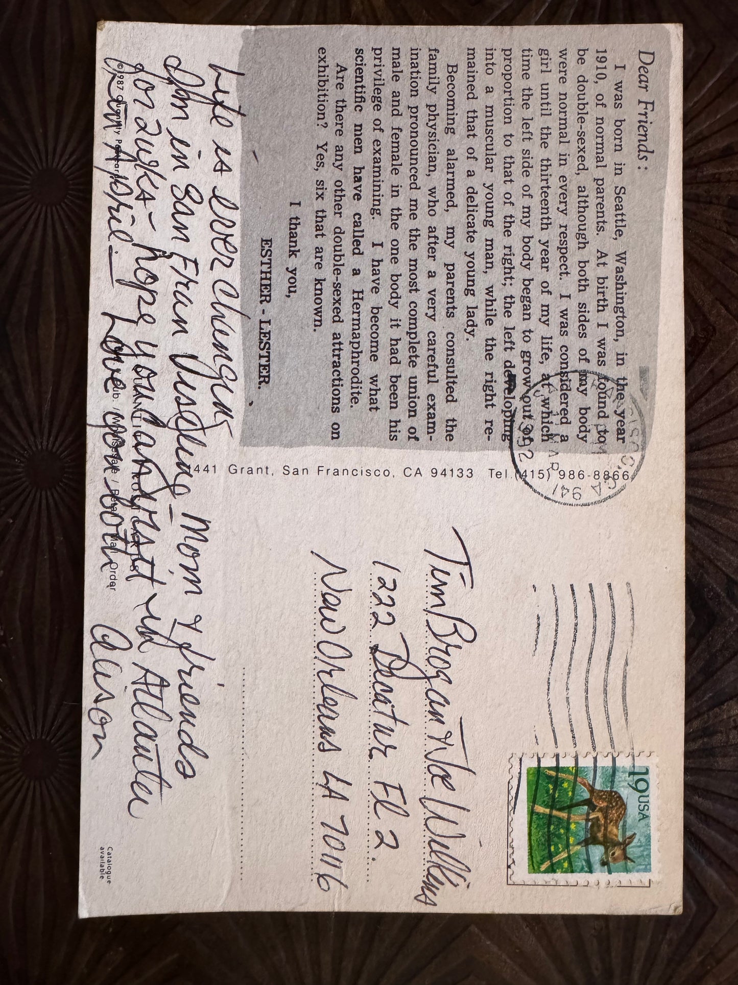 vtg postcard with Esther Lester.