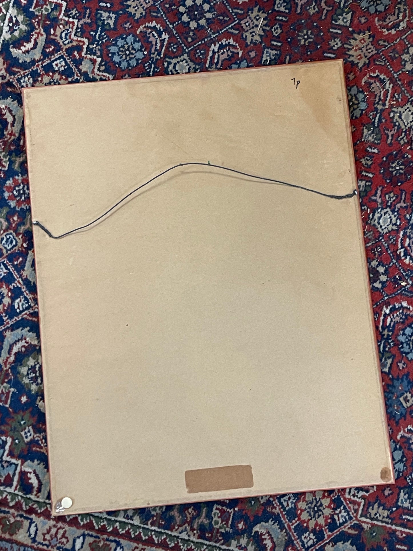 Vintage Rosa Centifolia Bullata Rose Botanical Framed Illustration