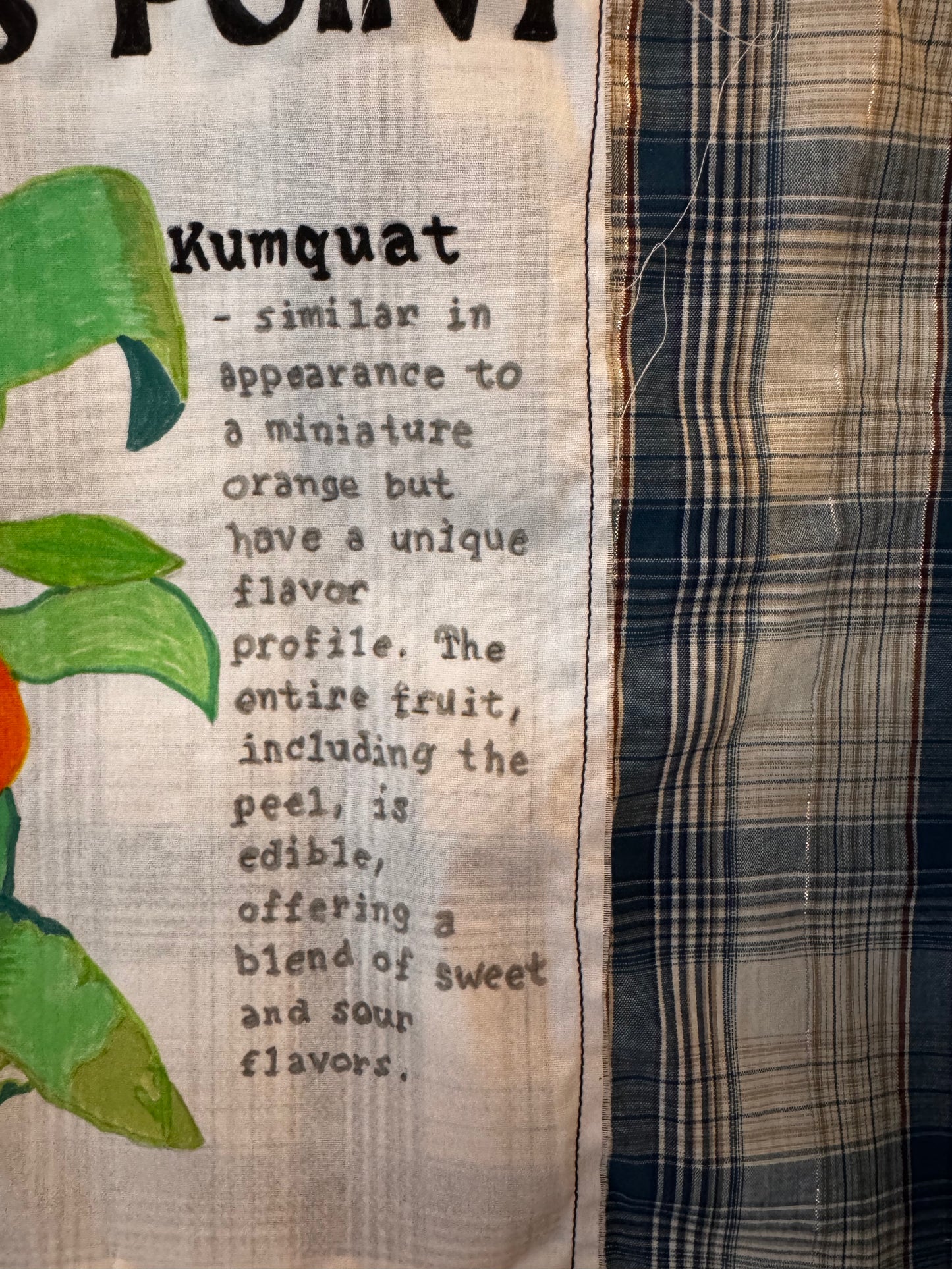 Algiers Point Kumquat Shirt