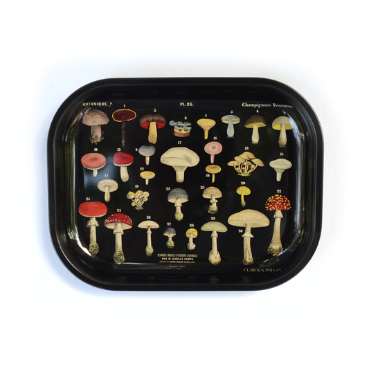 Black Mushroom Tray