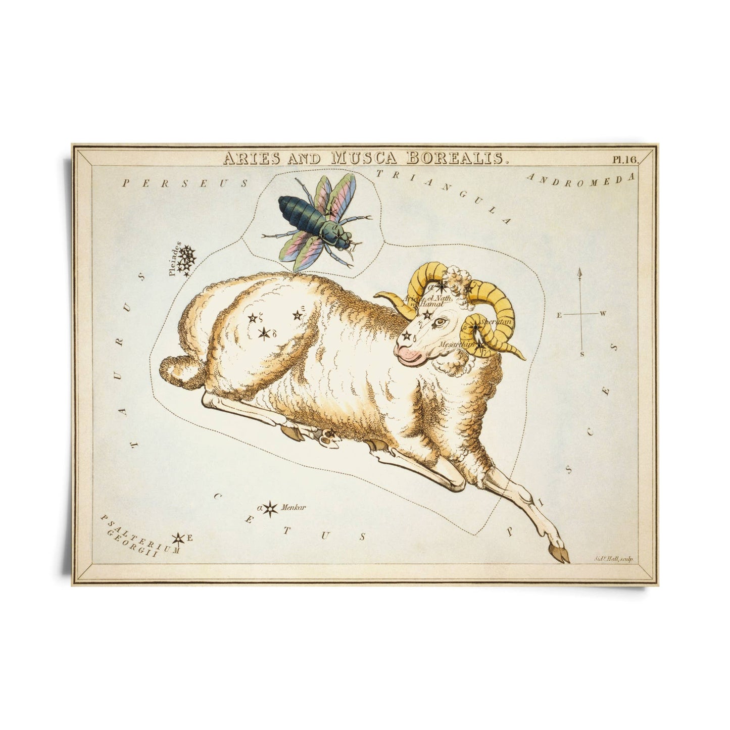 Vtg Zodiac Sign Astrology Print