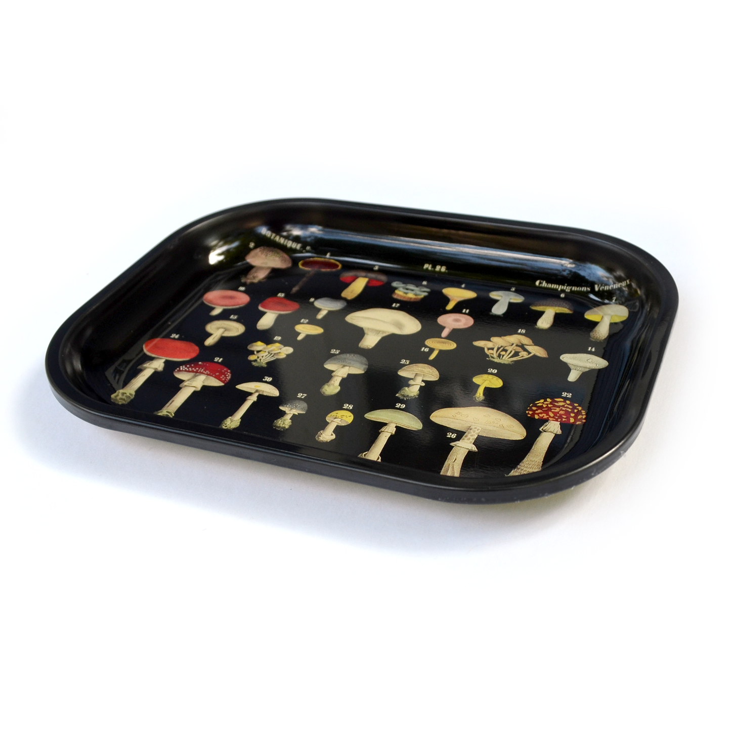 Black Mushroom Tray