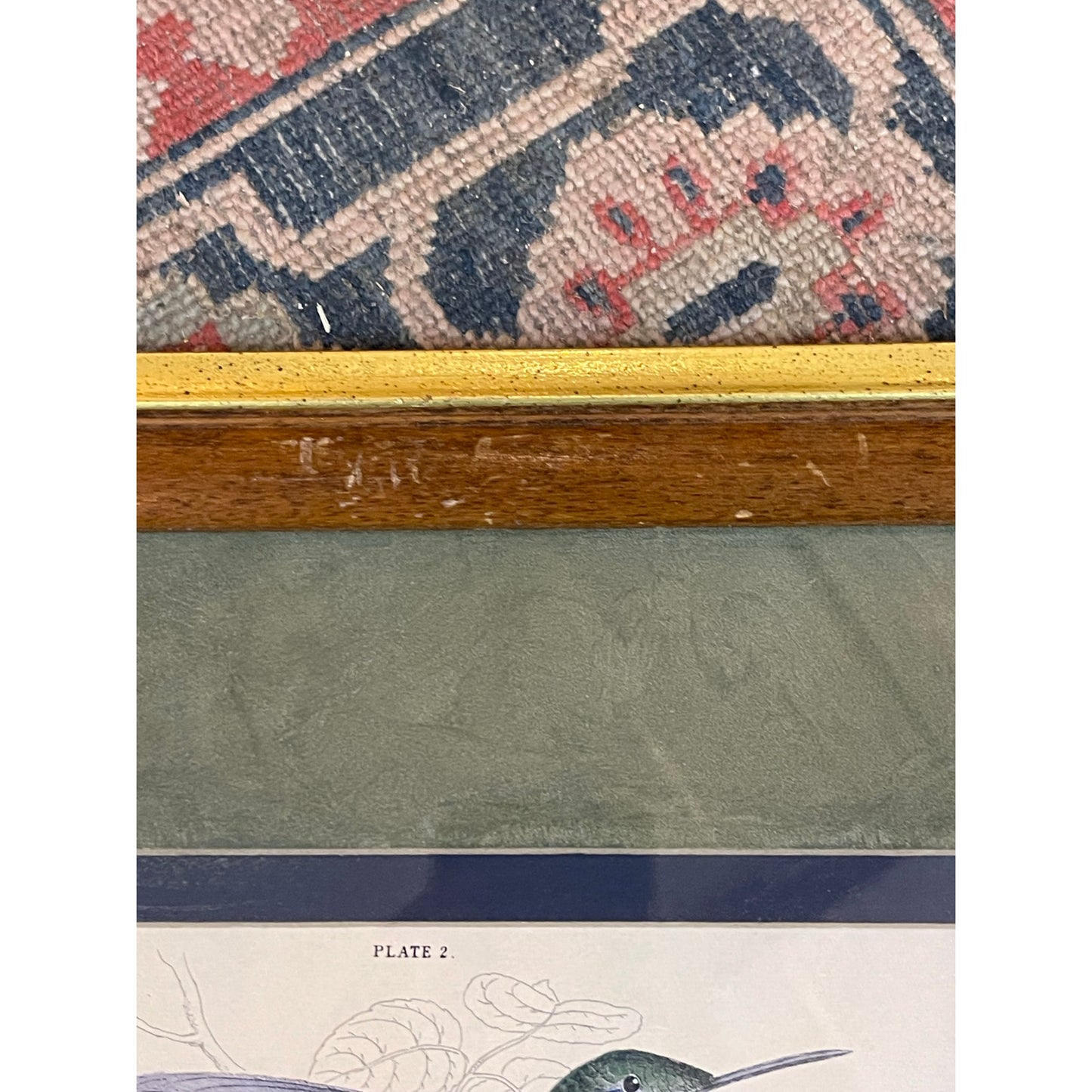 Antique 1800's The Naturalist's LIbrary Hummingbird Hand-Colored Engraving Framed