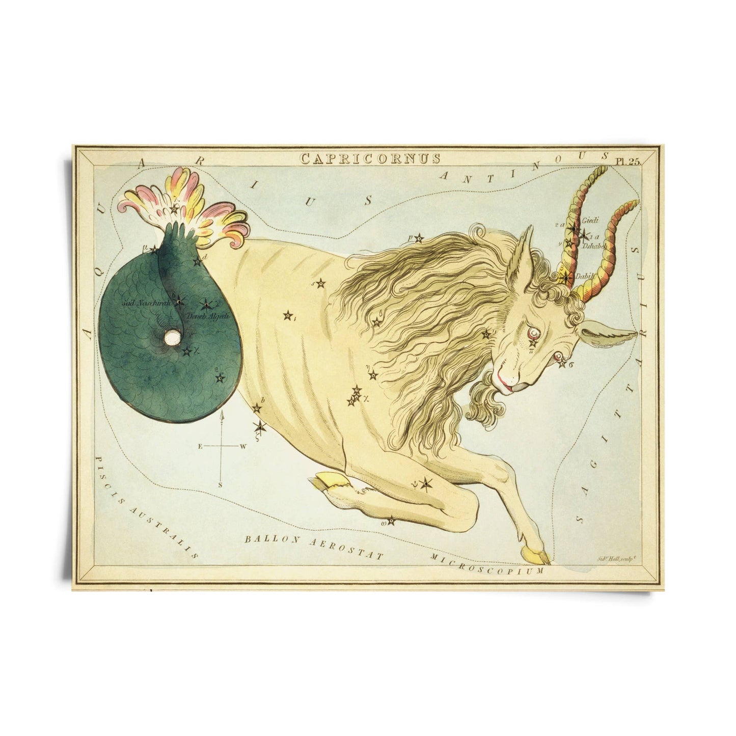 Vtg Zodiac Sign Astrology Print