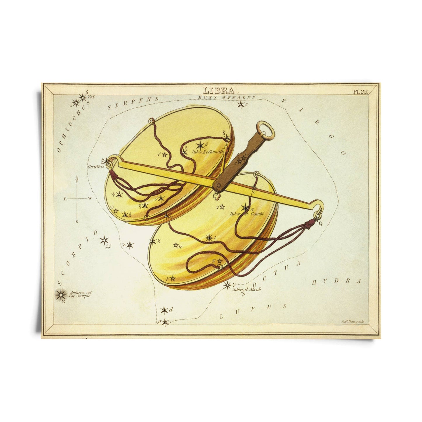 Vtg Zodiac Sign Astrology Print