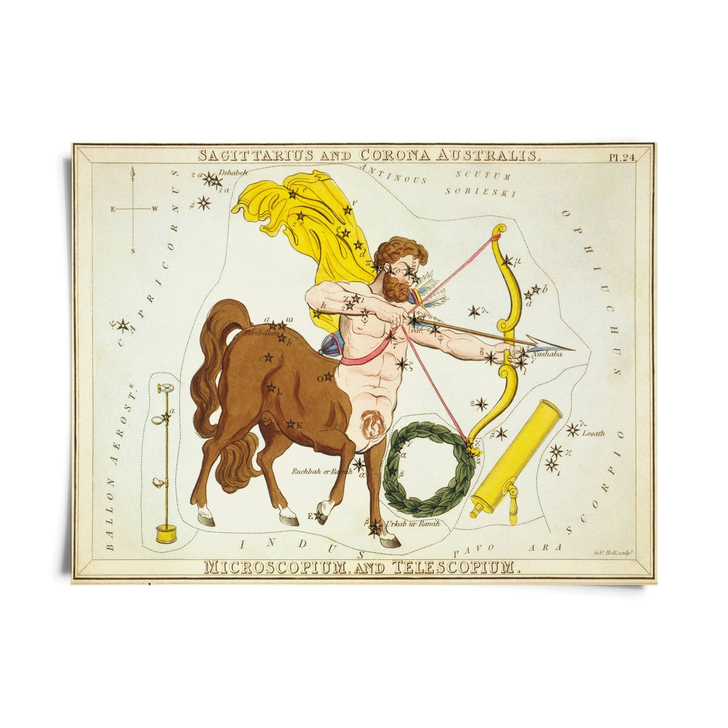 Vtg Zodiac Sign Astrology Print