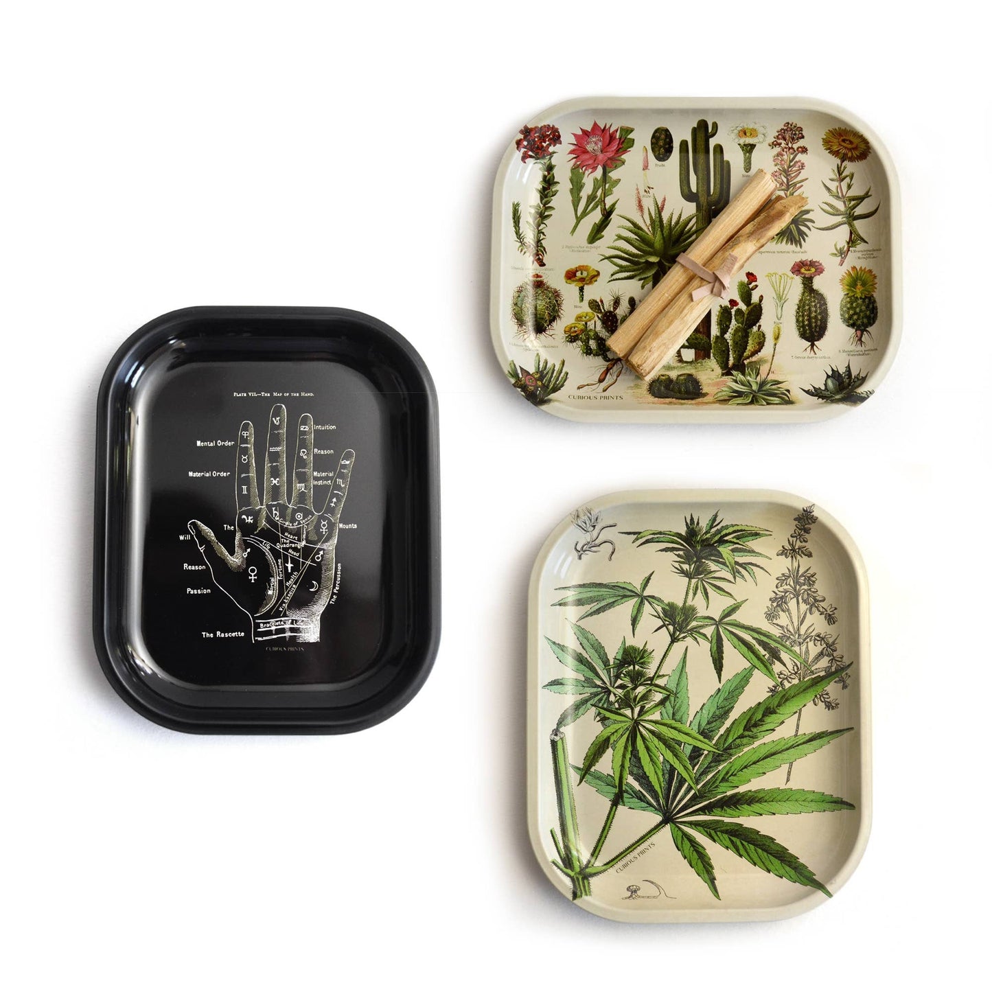 Black Mushroom Tray