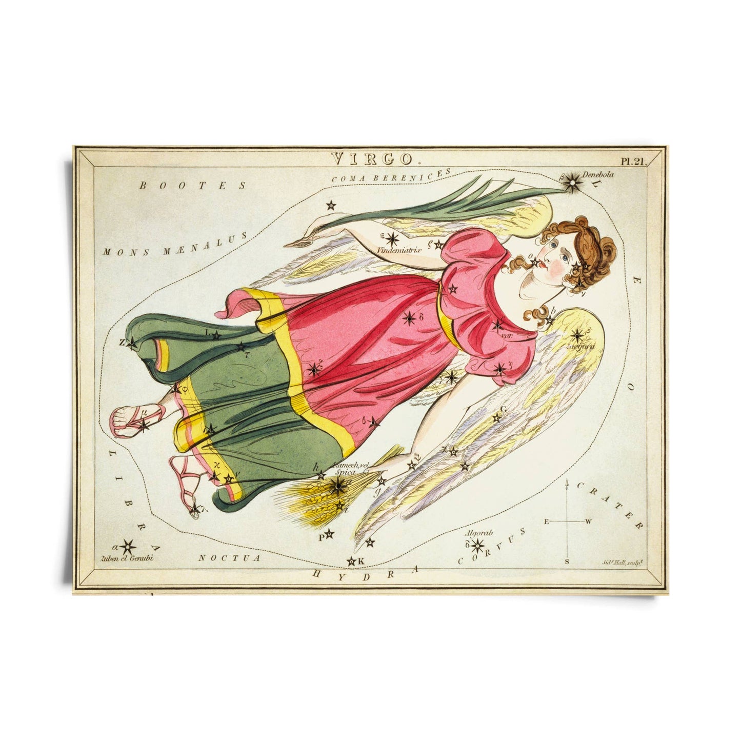 Vtg Zodiac Sign Astrology Print