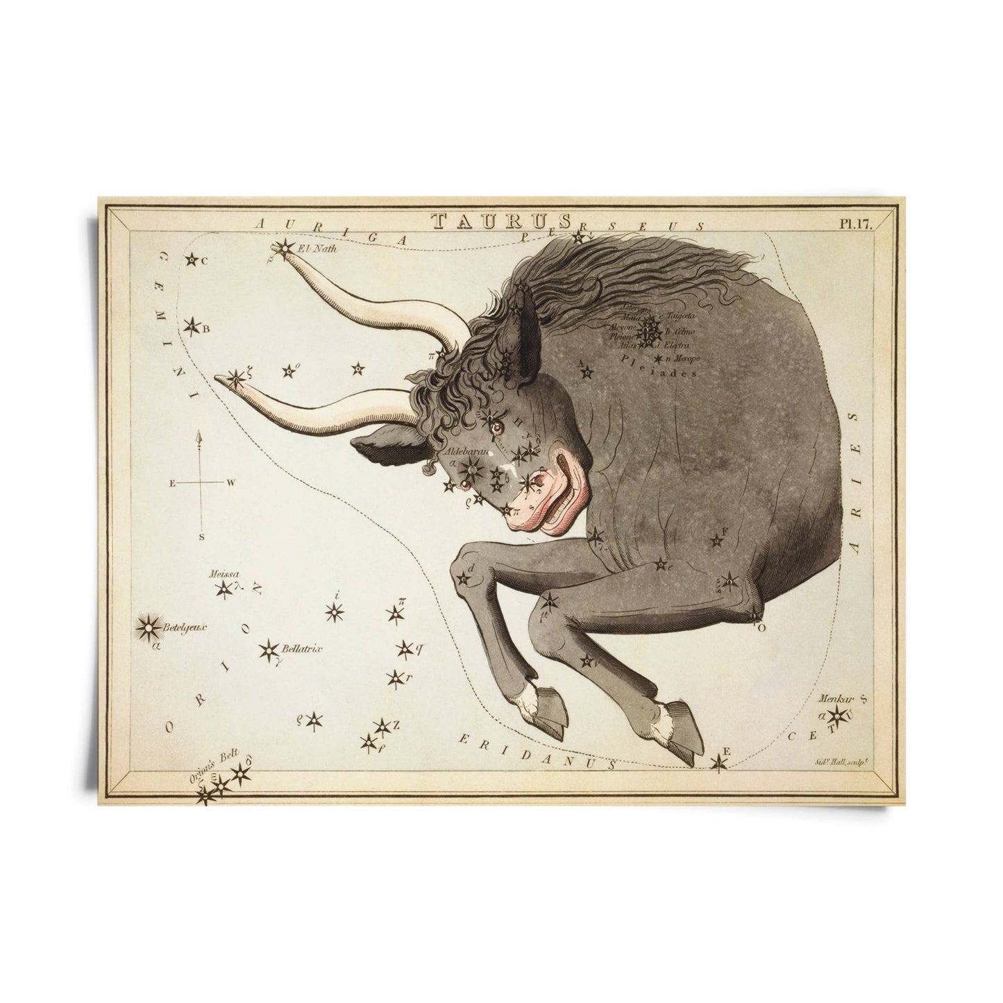 Vtg Zodiac Sign Astrology Print