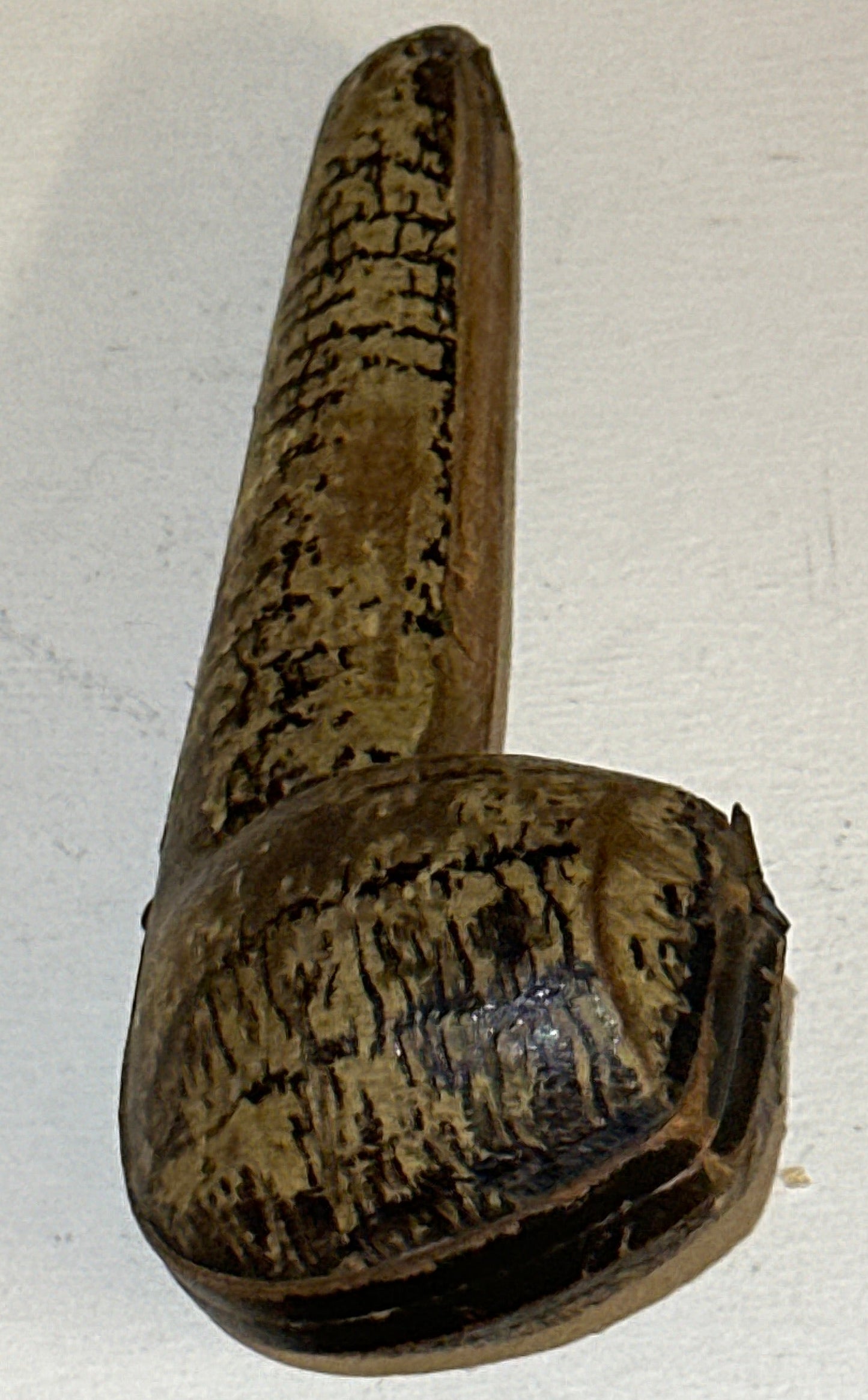 Vintage Pipe Case