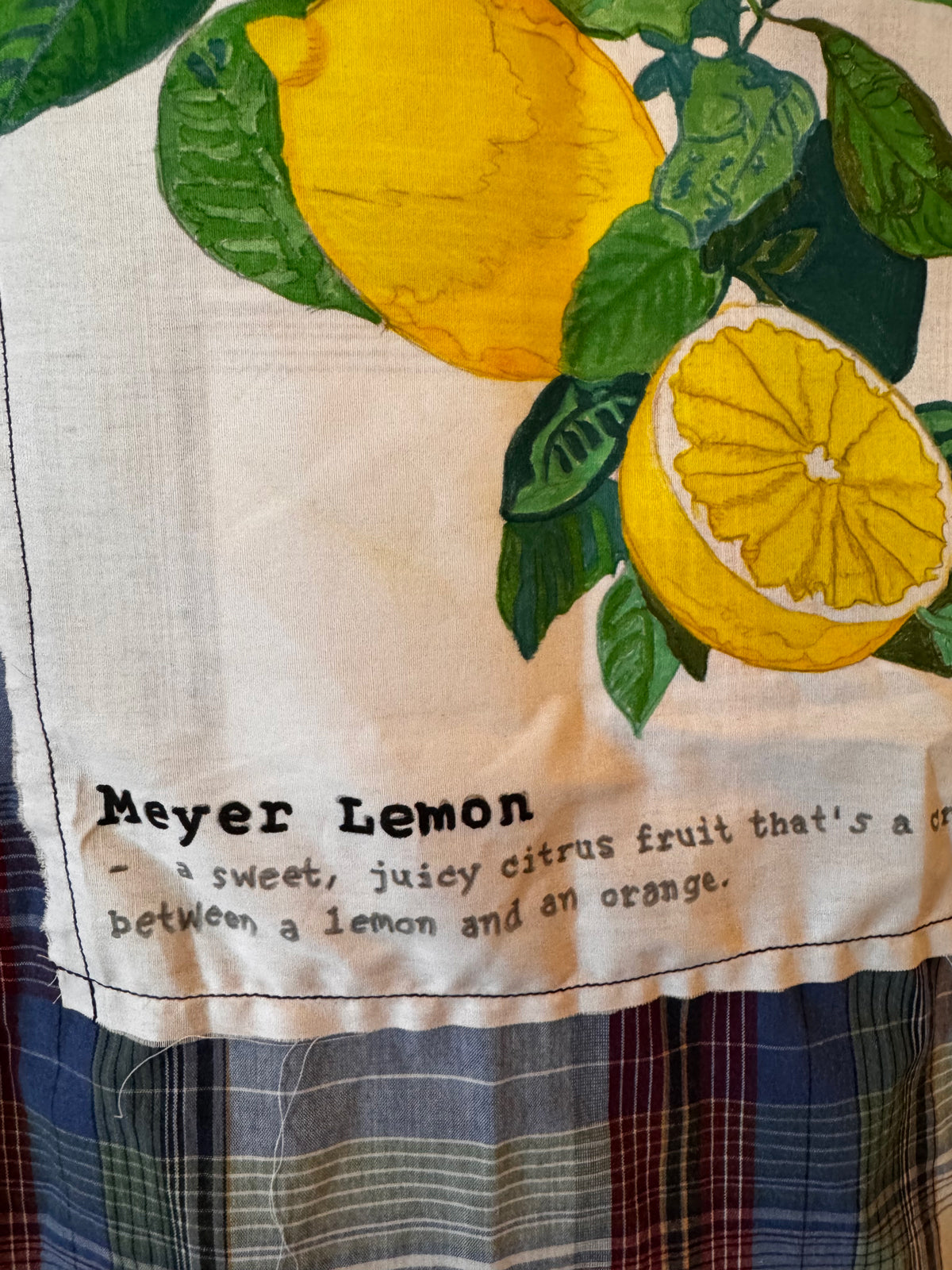 Algiers Point Meyer Lemon Shirt Gerlaine