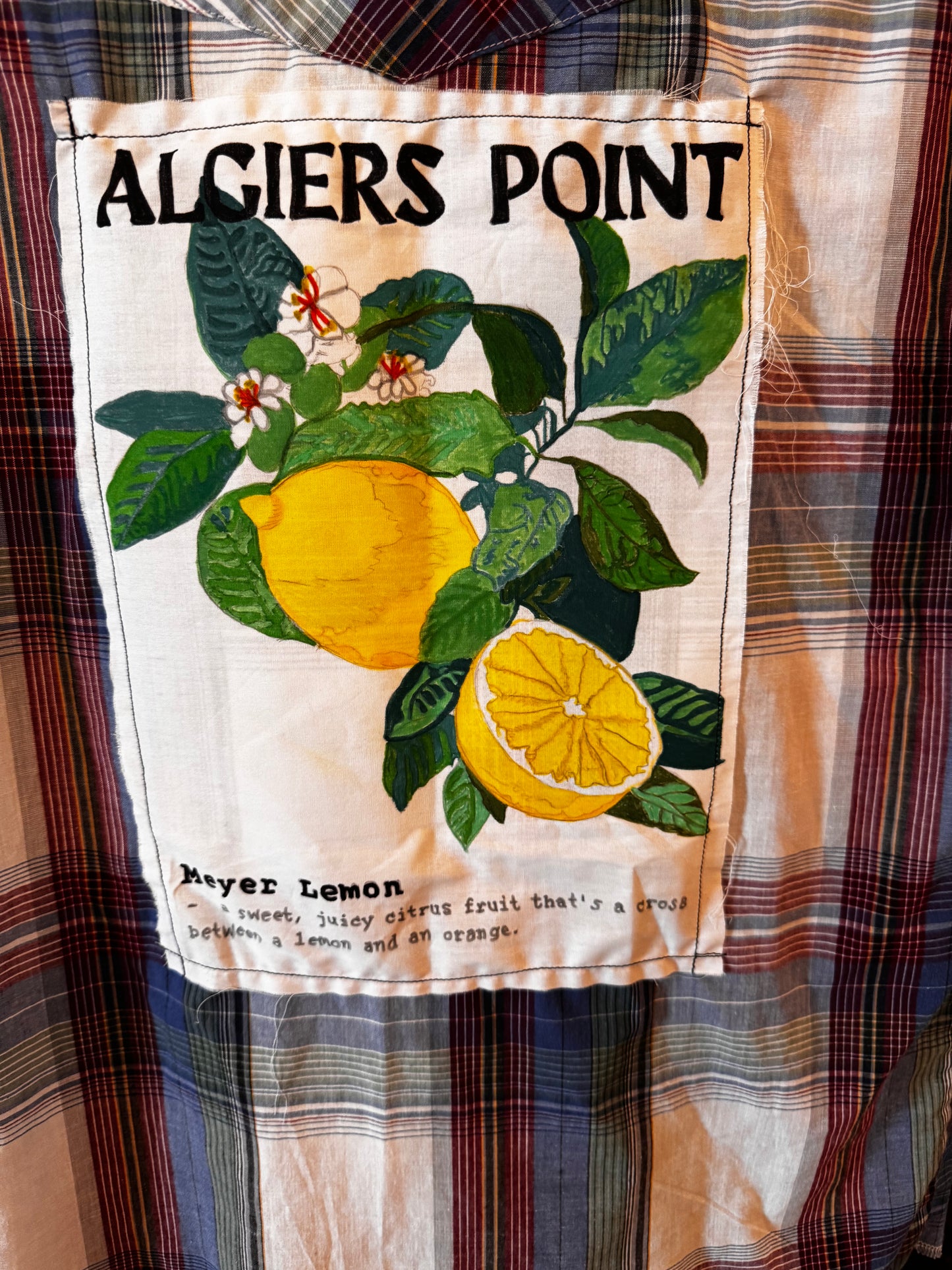 Algiers Point Meyer Lemon Shirt Gerlaine