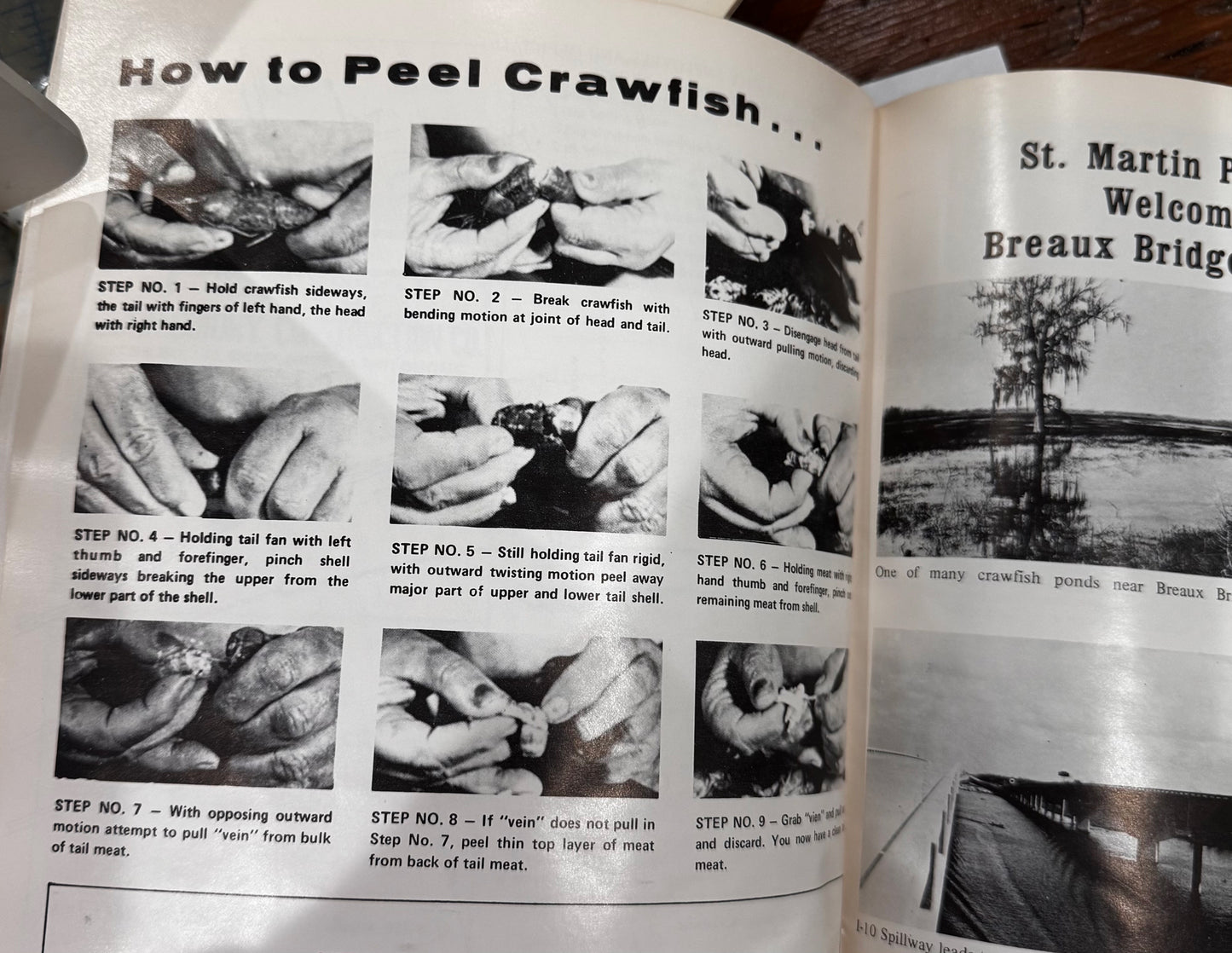 Breaux Bridge Crawfish Festival Booklet