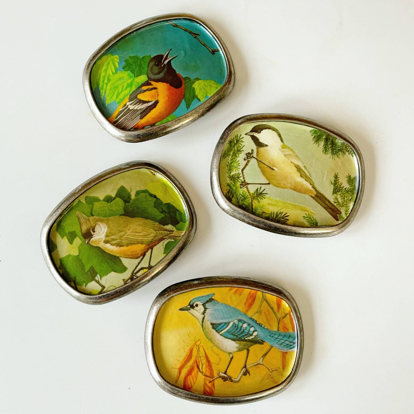 Belt buckle, bird
