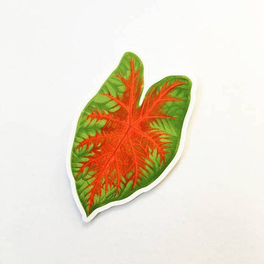 Caladium Tropical Leaf Plant Sticker