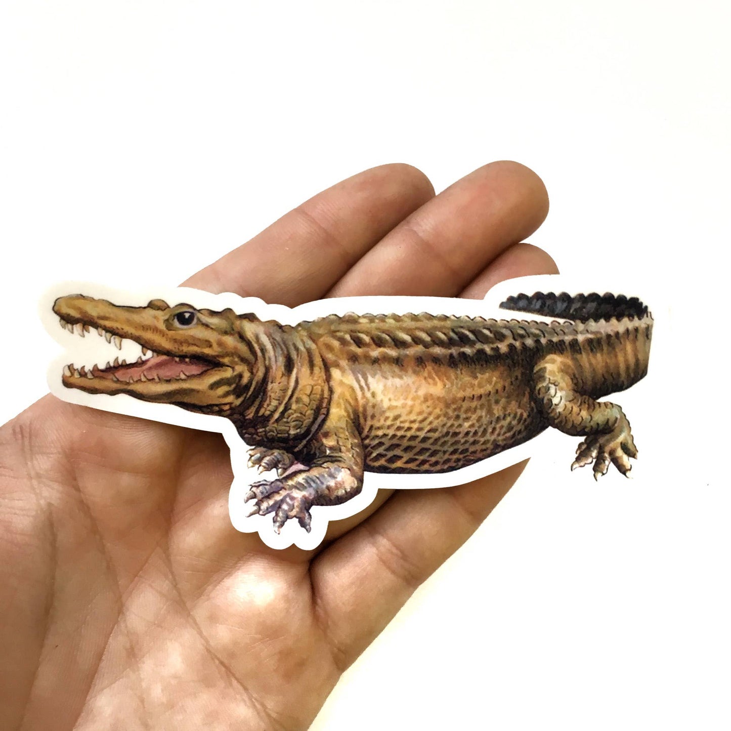 Vintage Alligator Vinyl Sticker