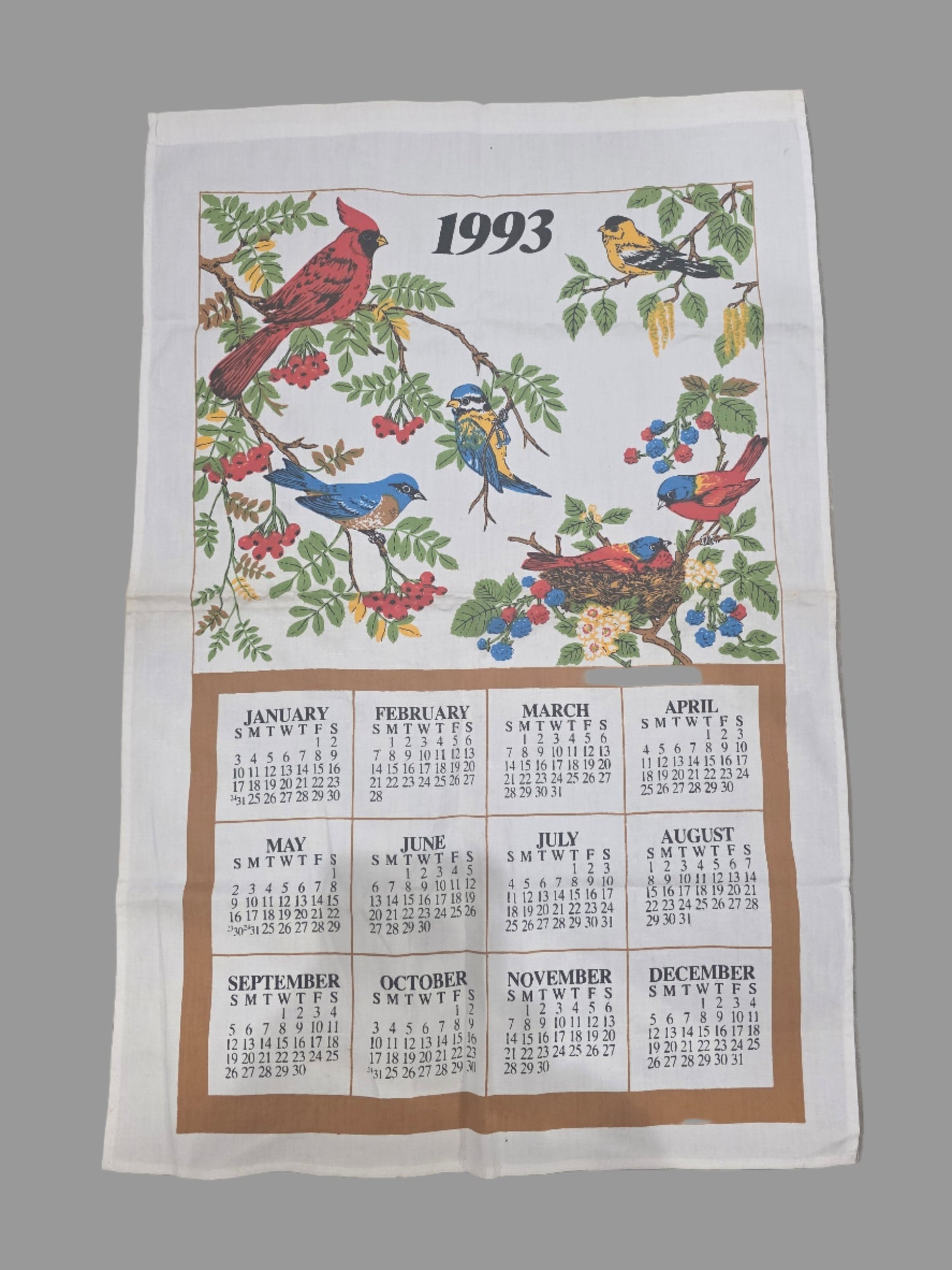 Vtg. Bird Calendar 1993