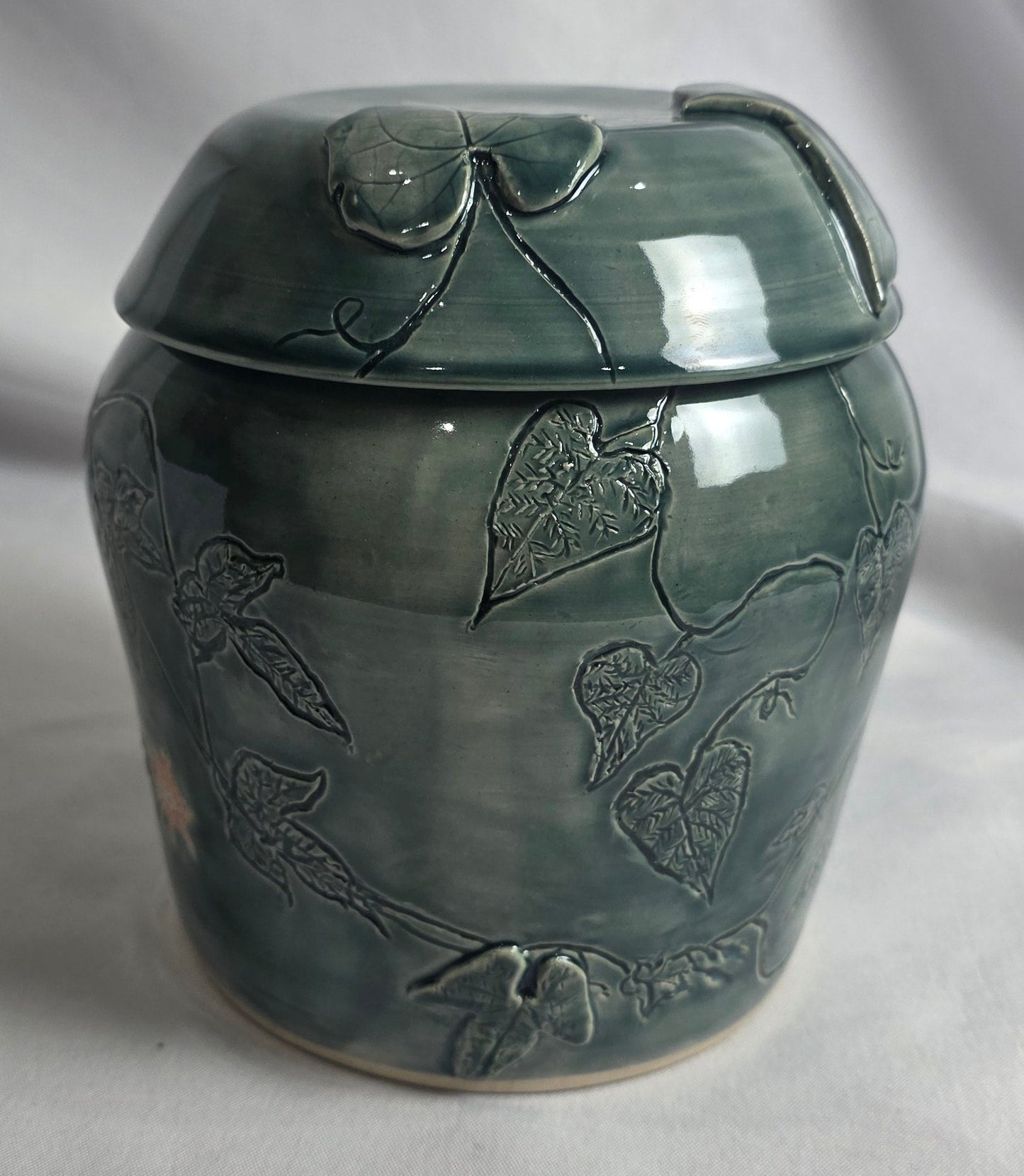 Ivy Jar - CSMJ
